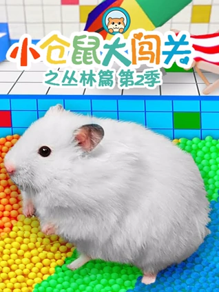 实习医生格蕾第十六季