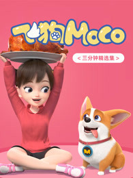 飞狗MOCO三分钟精选