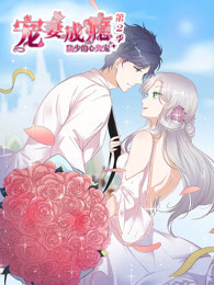 宠妻成瘾：陆少的心尖宠 第2季