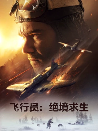 飞行员:绝境求生